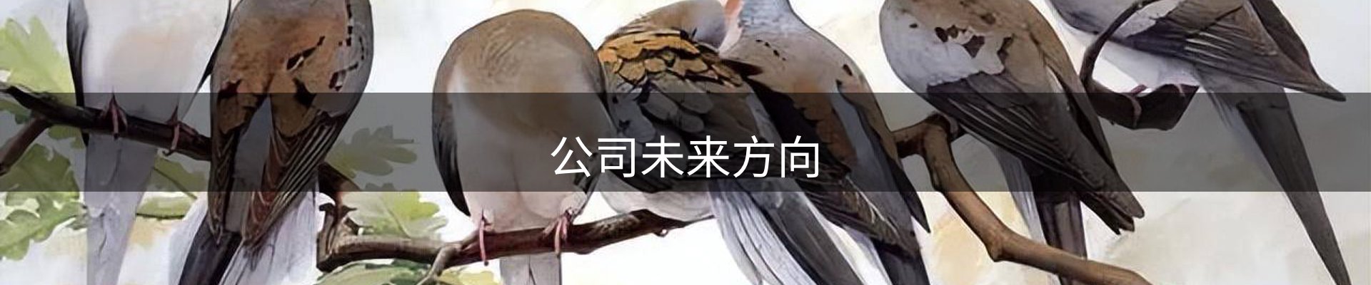 公司未来方向